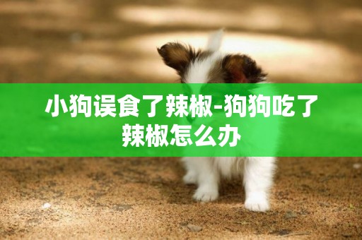 小狗誤食了辣椒-狗狗吃了辣椒怎么辦