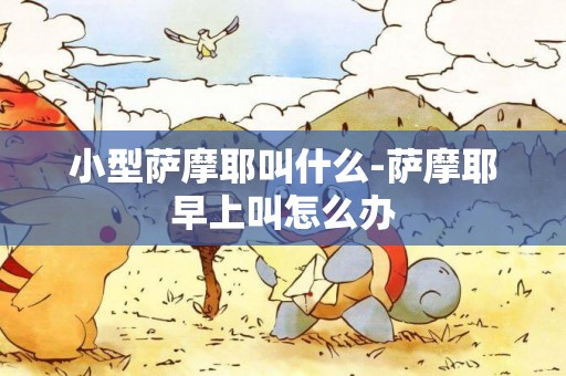 小型薩摩耶叫什么-薩摩耶早上叫怎么辦