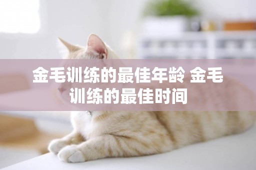 金毛訓練的最佳年齡 金毛訓練的最佳時間
