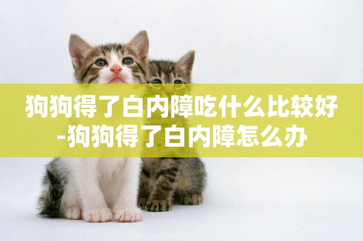 狗狗得了白內障吃什么比較好-狗狗得了白內障怎么辦