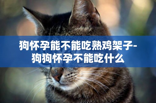 狗懷孕能不能吃熟雞架子-狗狗懷孕不能吃什么
