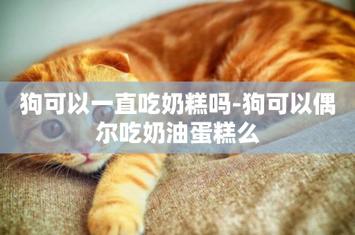 狗可以一直吃奶糕嗎-狗可以偶爾吃奶油蛋糕么