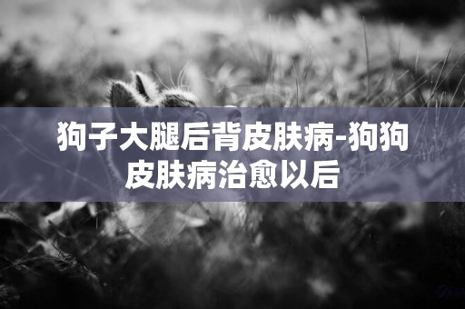 狗子大腿后背皮膚病-狗狗皮膚病治愈以后