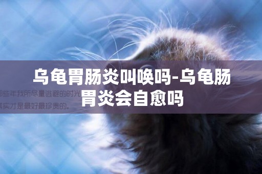 烏龜胃腸炎叫喚嗎-烏龜腸胃炎會自愈嗎