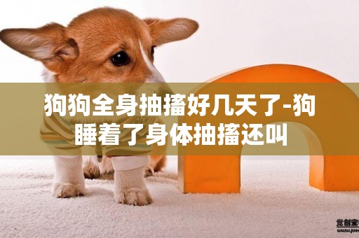 狗狗全身抽搐好幾天了-狗睡著了身體抽搐還叫