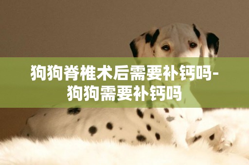 狗狗脊椎術后需要補鈣嗎-狗狗需要補鈣嗎