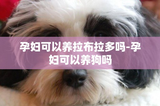孕婦可以養拉布拉多嗎-孕婦可以養狗嗎