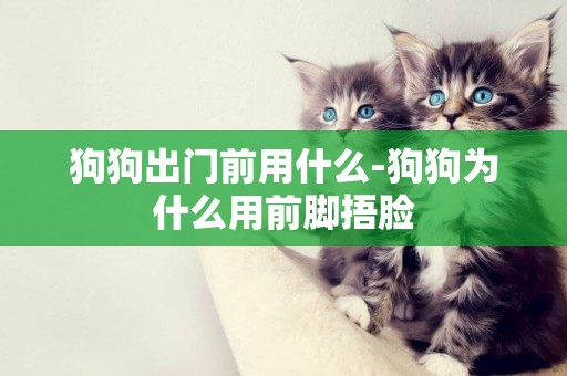 狗狗出門前用什么-狗狗為什么用前腳捂臉