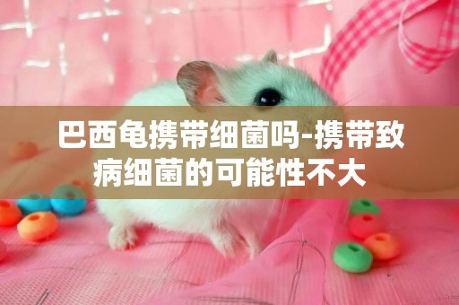 巴西龜攜帶細菌嗎-攜帶致病細菌的可能性不大