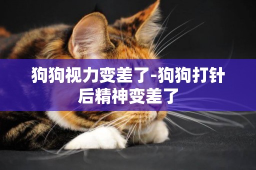 狗狗視力變差了-狗狗打針后精神變差了