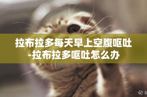 拉布拉多每天早上空腹嘔吐-拉布拉多嘔吐怎么辦