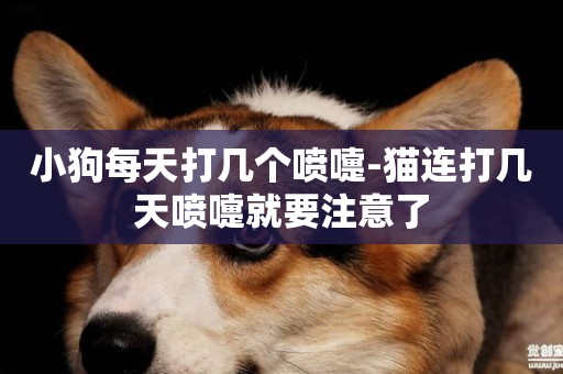 小狗每天打幾個噴嚏-貓連打幾天噴嚏就要注意了