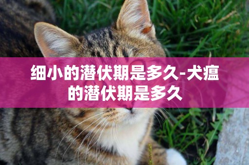 細小的潛伏期是多久-犬瘟的潛伏期是多久