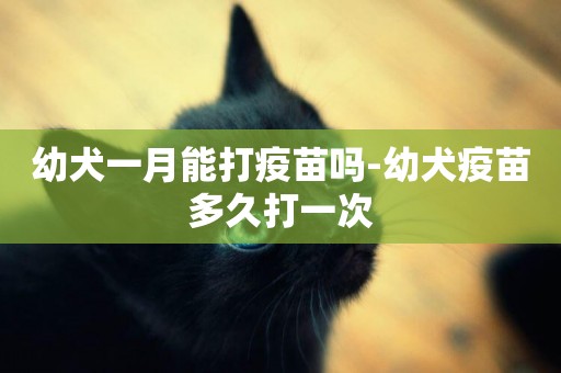 幼犬一月能打疫苗嗎-幼犬疫苗多久打一次