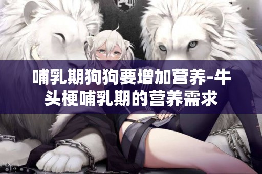 哺乳期狗狗要增加營養-牛頭梗哺乳期的營養需求