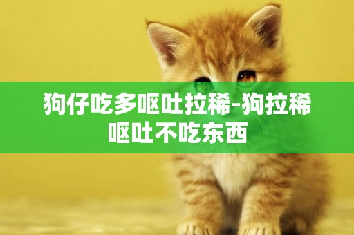 狗仔吃多嘔吐拉稀-狗拉稀嘔吐不吃東西