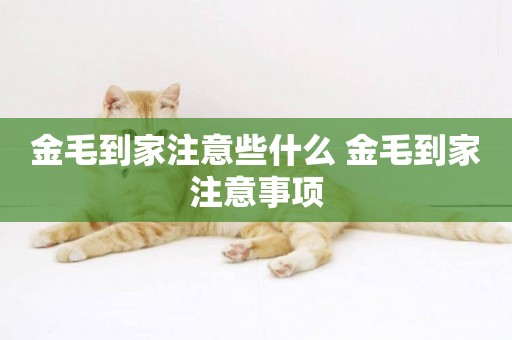 金毛到家注意些什么 金毛到家注意事項