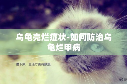 烏龜殼爛癥狀-如何防治烏龜爛甲病