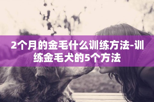 2個月的金毛什么訓練方法-訓練金毛犬的5個方法