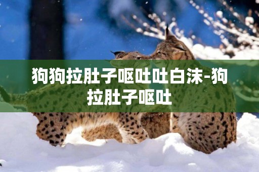 狗狗拉肚子嘔吐吐白沫-狗拉肚子嘔吐