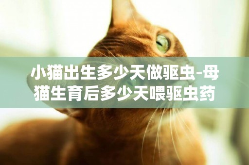 小貓出生多少天做驅蟲-母貓生育后多少天喂驅蟲藥