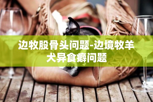 邊牧股骨頭問題-邊境牧羊犬異食癖問題
