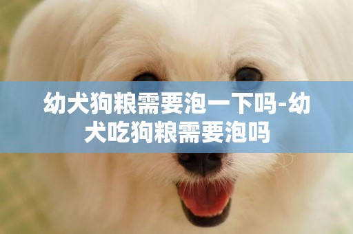 幼犬狗糧需要泡一下嗎-幼犬吃狗糧需要泡嗎