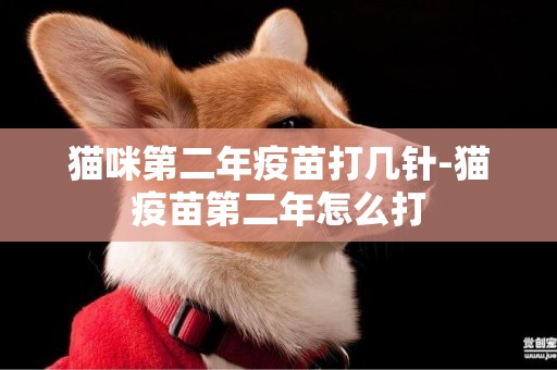 貓咪第二年疫苗打幾針-貓疫苗第二年怎么打