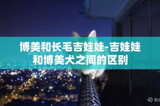 博美和長毛吉娃娃-吉娃娃和博美犬之間的區別