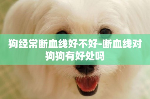 狗經常斷血線好不好-斷血線對狗狗有好處嗎