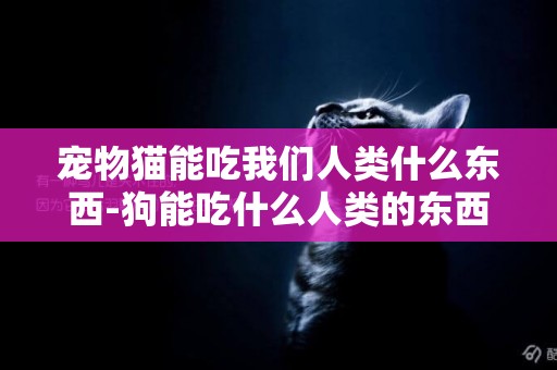 寵物貓能吃我們人類什么東西-狗能吃什么人類的東西