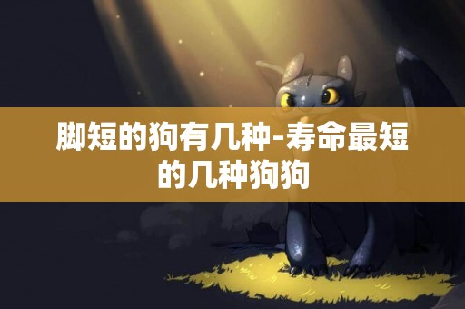 腳短的狗有幾種-壽命最短的幾種狗狗