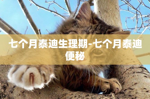 七個月泰迪生理期-七個月泰迪便秘