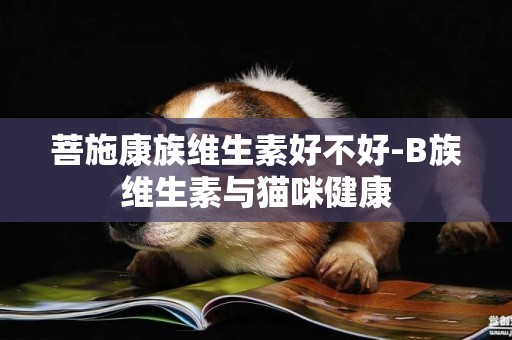 菩施康族維生素好不好-B族維生素與貓咪健康