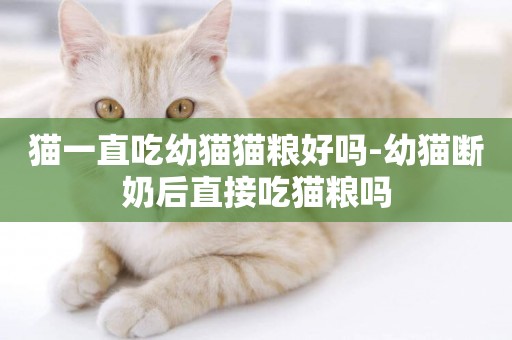 貓一直吃幼貓貓糧好嗎-幼貓斷奶后直接吃貓糧嗎