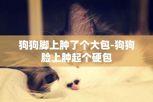 狗狗腳上腫了個大包-狗狗臉上腫起個硬包