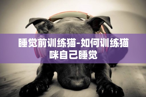 睡覺前訓練貓-如何訓練貓咪自己睡覺