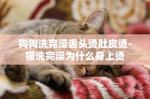 狗狗洗完澡舌頭燙肚皮燙-貓洗完澡為什么身上燙