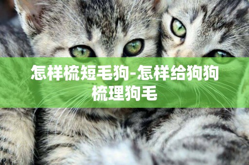 怎樣梳短毛狗-怎樣給狗狗梳理狗毛