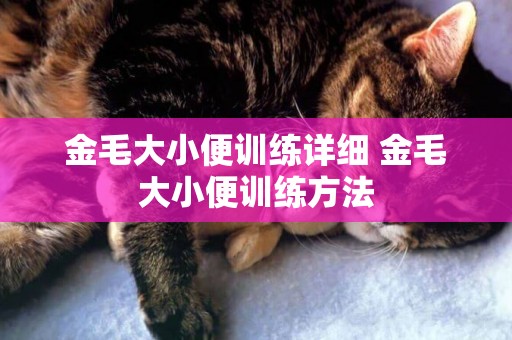 金毛大小便訓練詳細 金毛大小便訓練方法