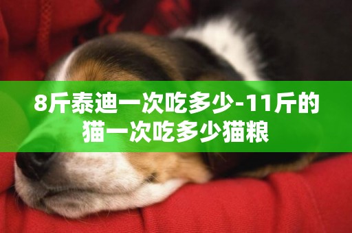 8斤泰迪一次吃多少-11斤的貓一次吃多少貓糧