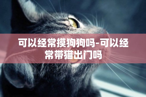 可以經常摸狗狗嗎-可以經常帶貓出門嗎