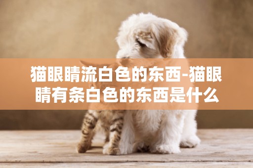 貓眼睛流白色的東西-貓眼睛有條白色的東西是什么