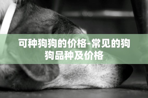 可種狗狗的價格-常見的狗狗品種及價格