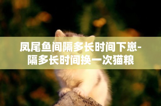 鳳尾魚間隔多長時間下崽-隔多長時間換一次貓糧
