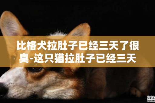比格犬拉肚子已經三天了很臭-這只貓拉肚子已經三天了