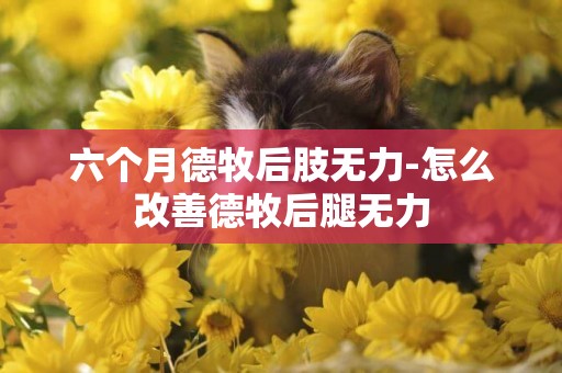 六個月德牧后肢無力-怎么改善德牧后腿無力