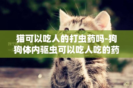 貓可以吃人的打蟲藥嗎-狗狗體內驅蟲可以吃人吃的藥嗎