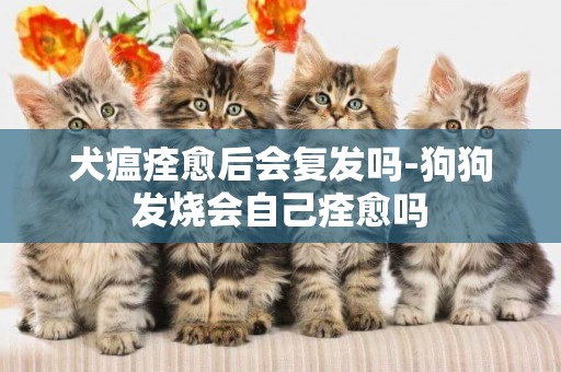 犬瘟痊愈后會復發嗎-狗狗發燒會自己痊愈嗎