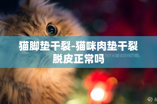 貓腳墊干裂-貓咪肉墊干裂脫皮正常嗎